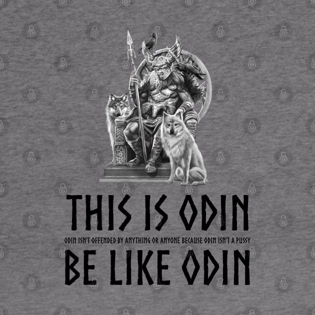 Anti-Communist SJW - Odin Is Not A Pussy - Viking Mythology by Styr Designs